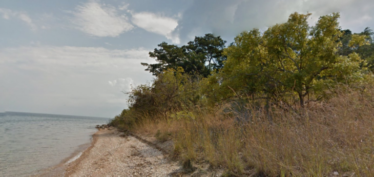 Google takes Street View inside Tanzania’s Gombe National Park, famous for its chimpanzees