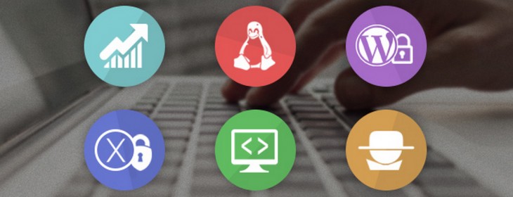 Learn Web security and boost your career: 92% off the White Hat Hacker bundle