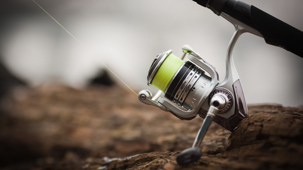 Teach them to fish: 5 leadership lessons for mentoring employees Featured Image