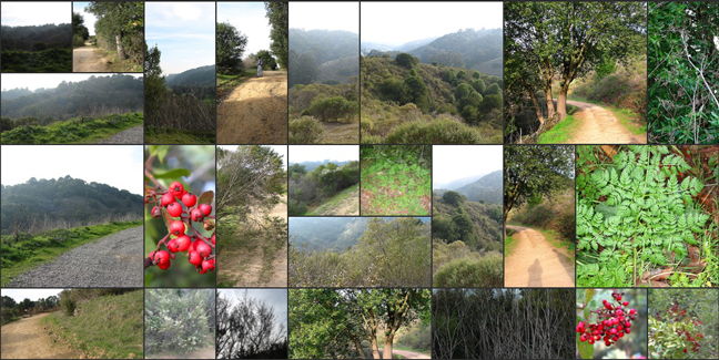 Kwilt creates a giant photo stream to discover and display all your stored images