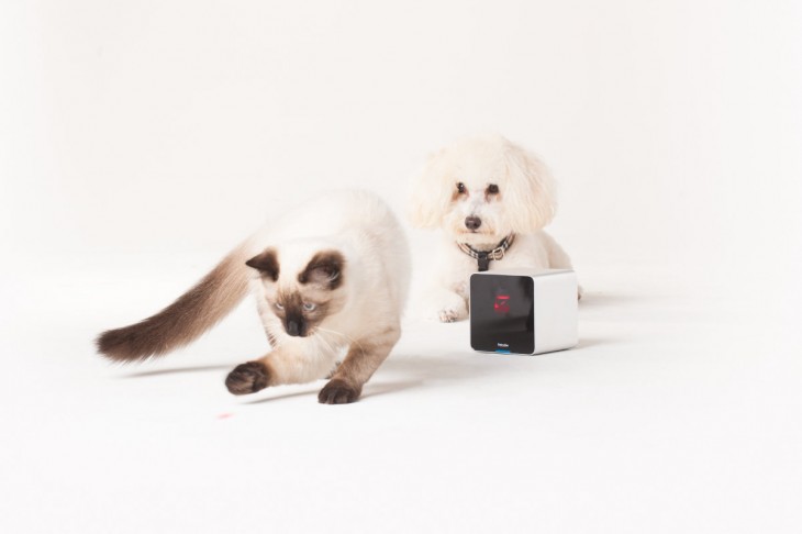 Petcube to start shipping its crowdfunded pet camera in time for Christmas