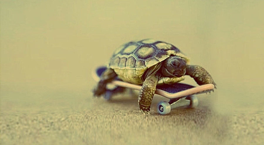 Your developers aren’t slow, your process is