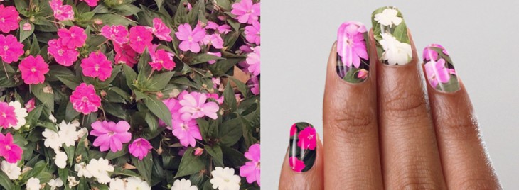 NailSnaps lets you feature your cat as nail polish
