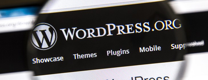 Grab this WordPress starter kit and name-your-own-price WordPress Theme Bundle