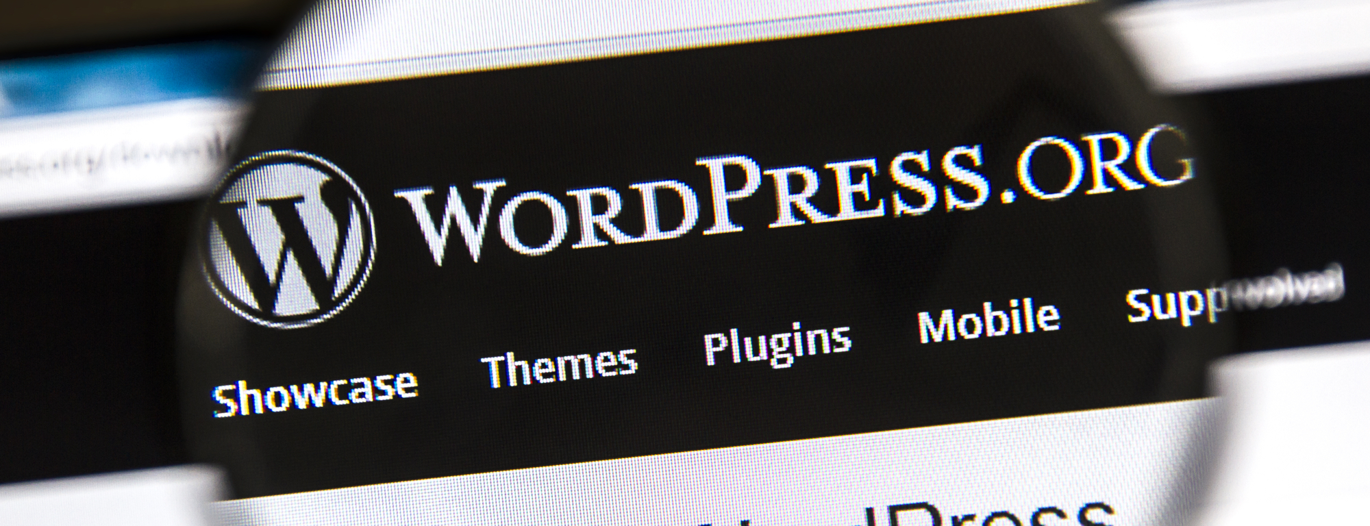 Grab this WordPress Starter Kit and Themes Bundle
