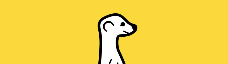 Meerkat for iOS lets you live stream video to your Twitter followers