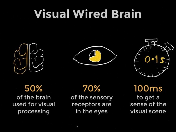 visual-brain