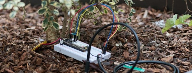 Spark’s Electron board can now power cellular-connected devices in over 100 countries