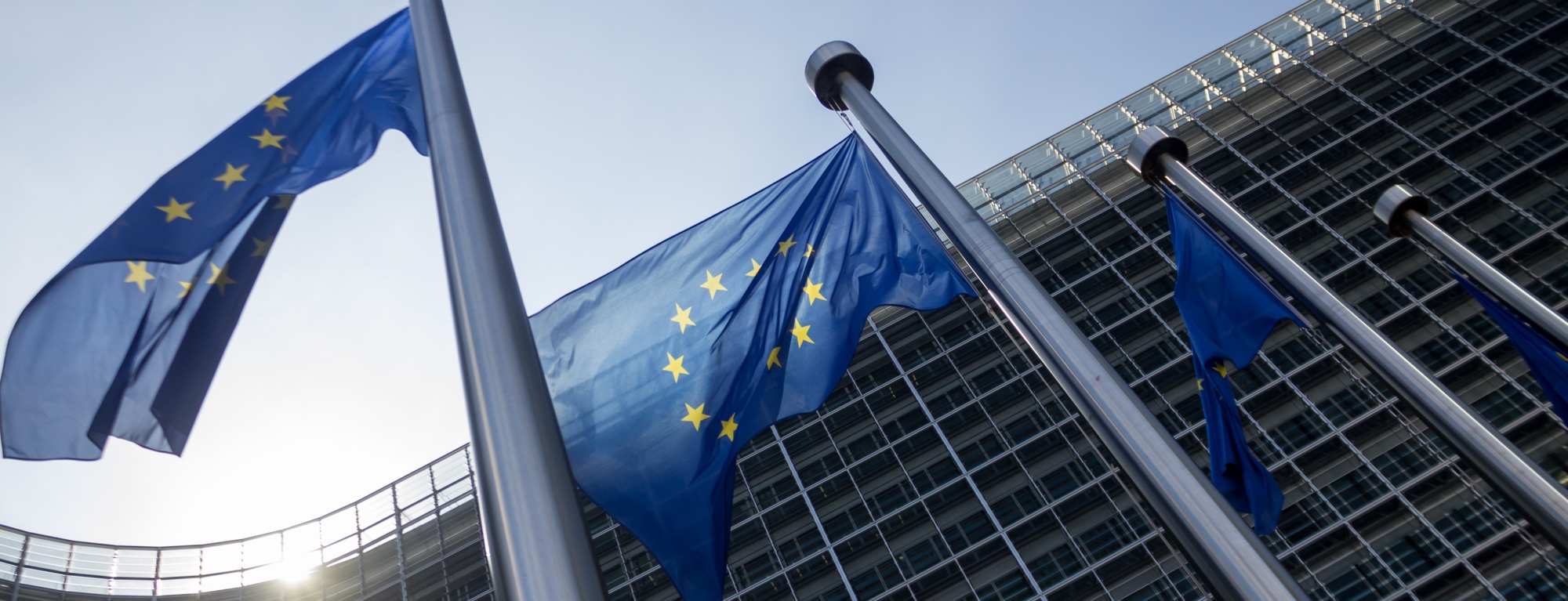 European innovators vs. regulation