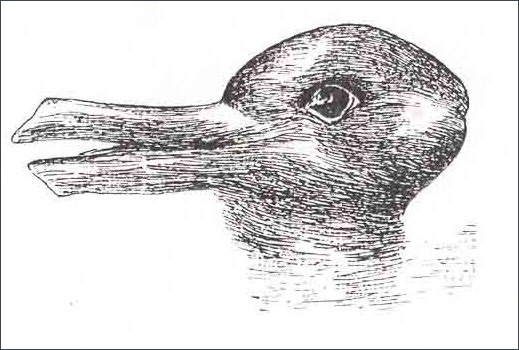 Duck-Rabbit_illusion-1