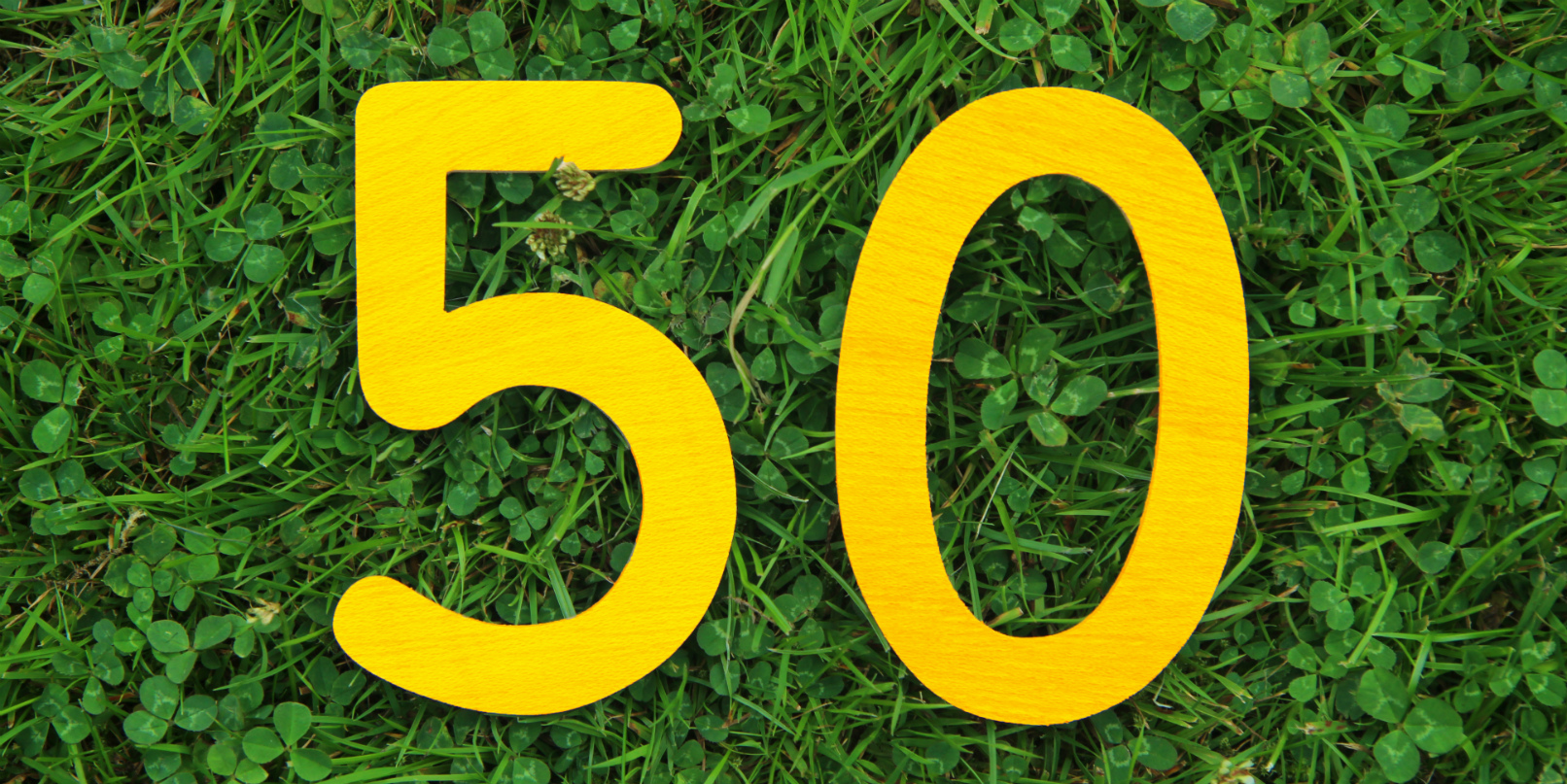 50 email newsletters you need to know about