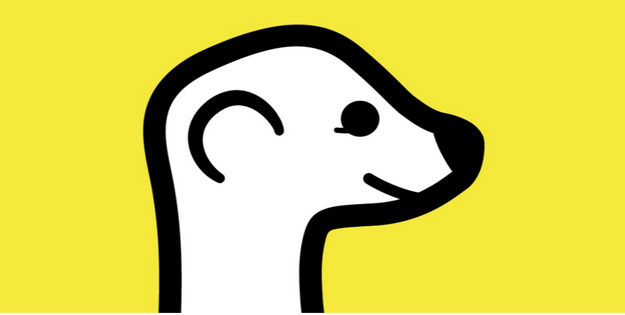 Meerkat launches developer platform and API