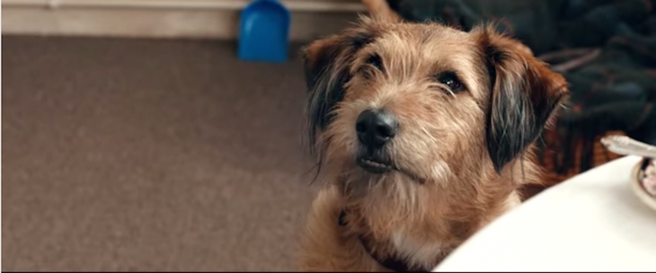 The trailer for Robin Williams’ final movie ‘Absolutely Anything’ is premiering on ...