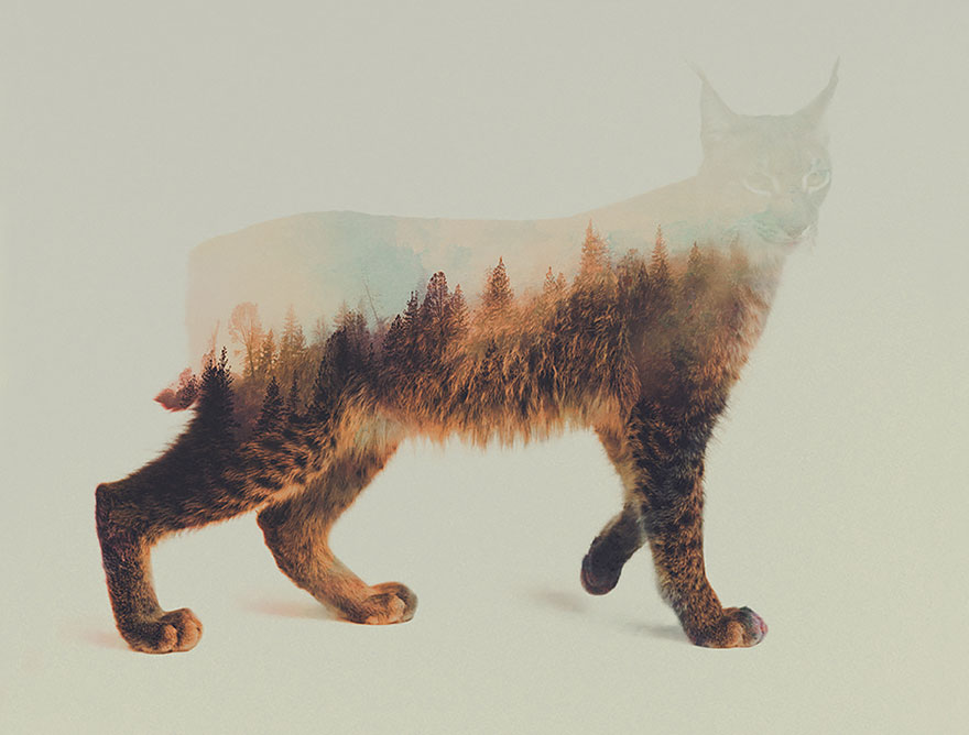double-exposure-animal-photography-andreas-lie-12__880