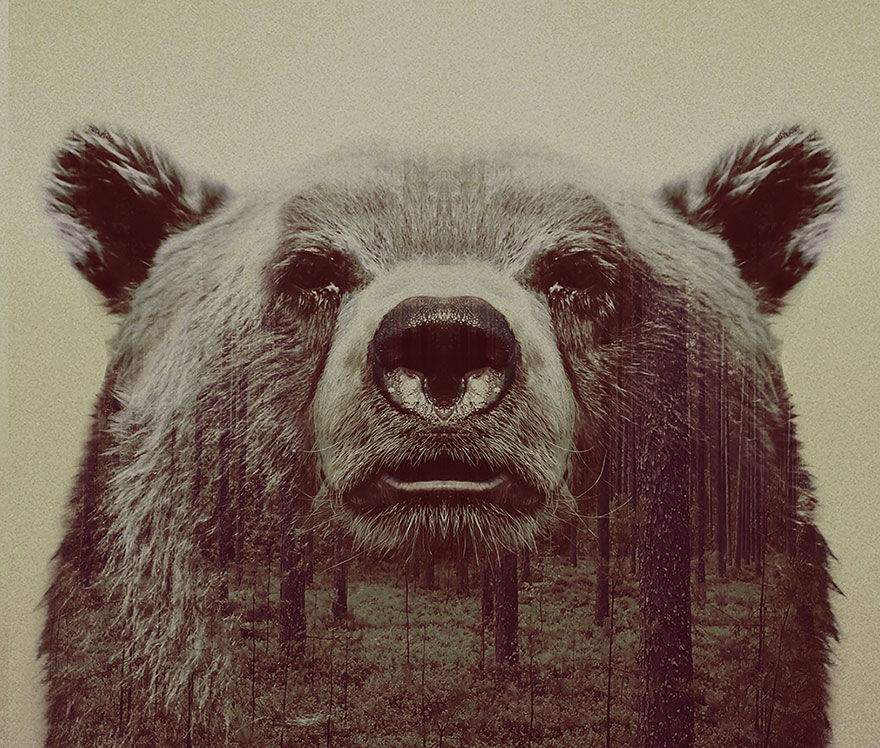 double-exposure-animal-photography-andreas-lie-20__880