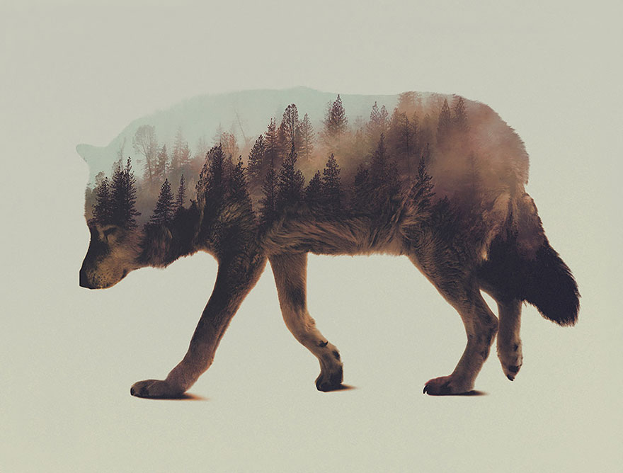 double-exposure-animal-photography-andreas-lie-6__880