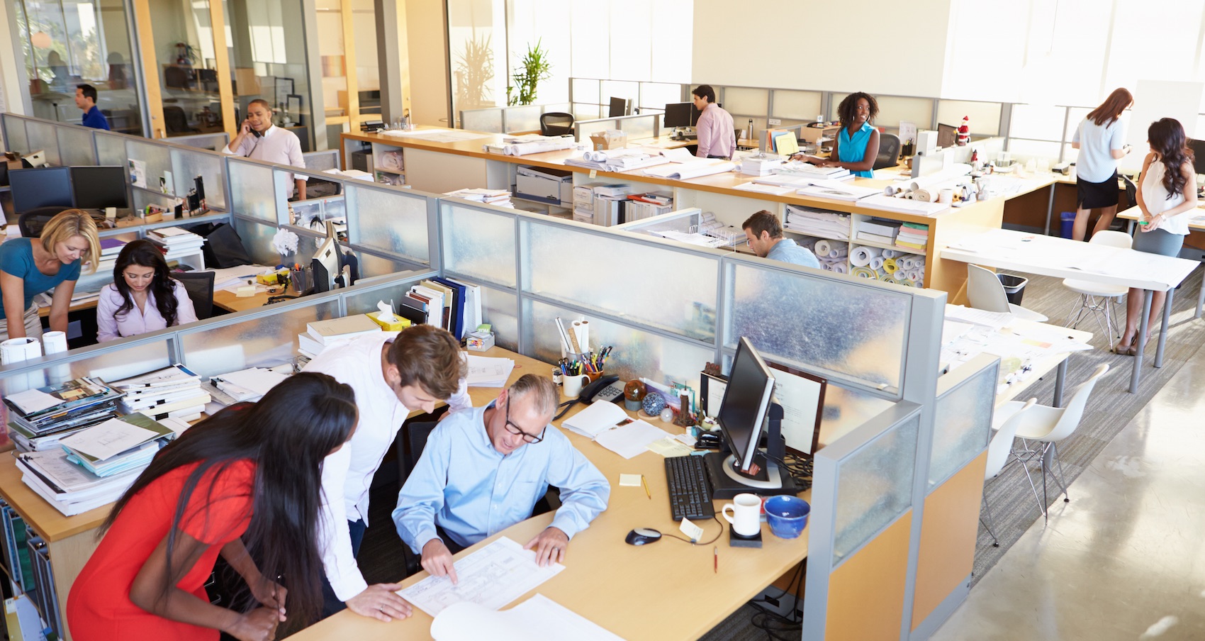 How to build an open office culture