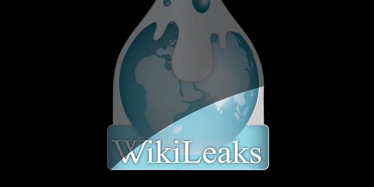 WikiLeaks has started accepting secret documents again after nearly five years