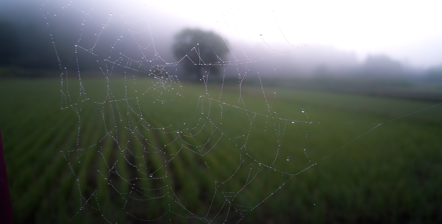 The secret number to the sharing economy