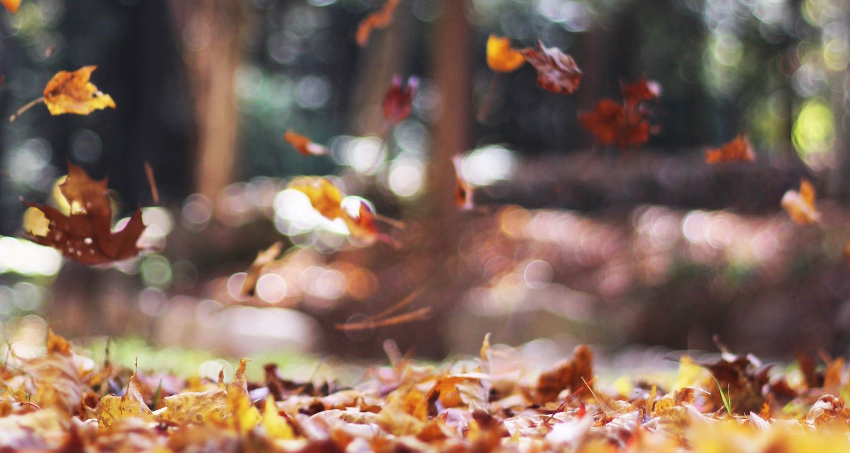 The secret to being creative Featured Image