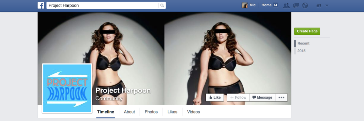 Meet Project Harpoon, the Photoshop bullies attacking larger women on Facebook