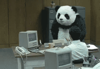 That man insulted the panda's mom on Facebook.