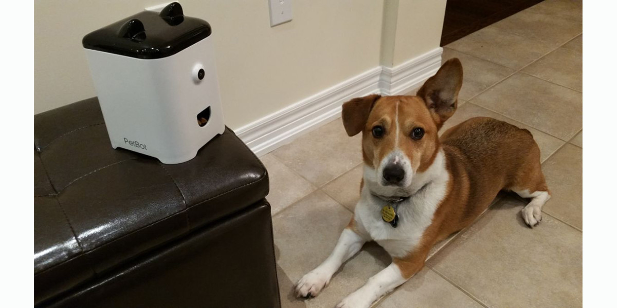 PetBot uses ‘petificial intelligence’ to let your cat or dog send you selfies