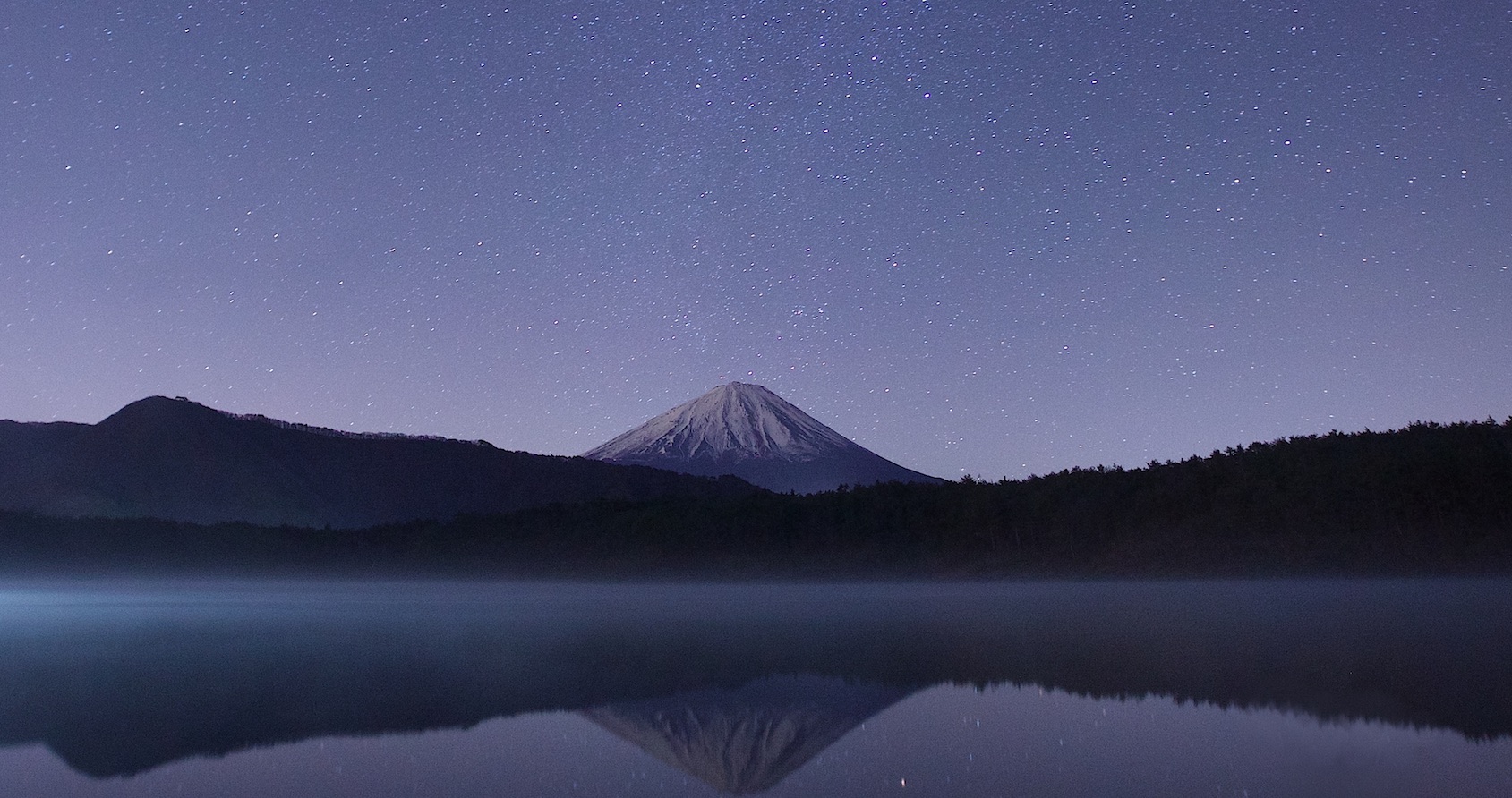 How to find your company’s purpose