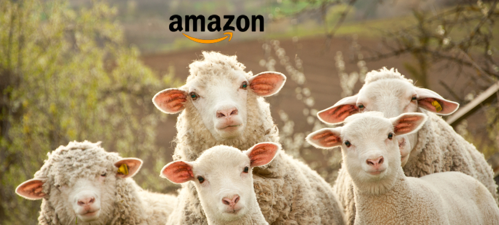 Explainer! Why Vox.com’s Ezra Klein should be Amazon’s next corporate PR chief