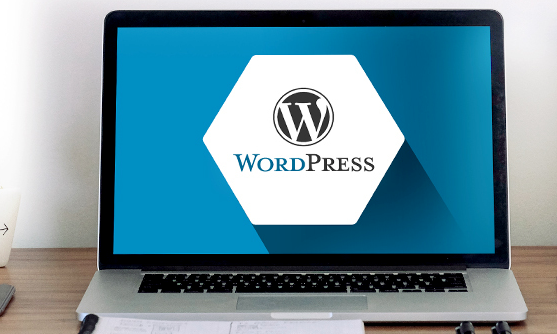 WordPress Wizard bundle, plus 85% off lifetime access to Themes Kingdom and Noun Project icons