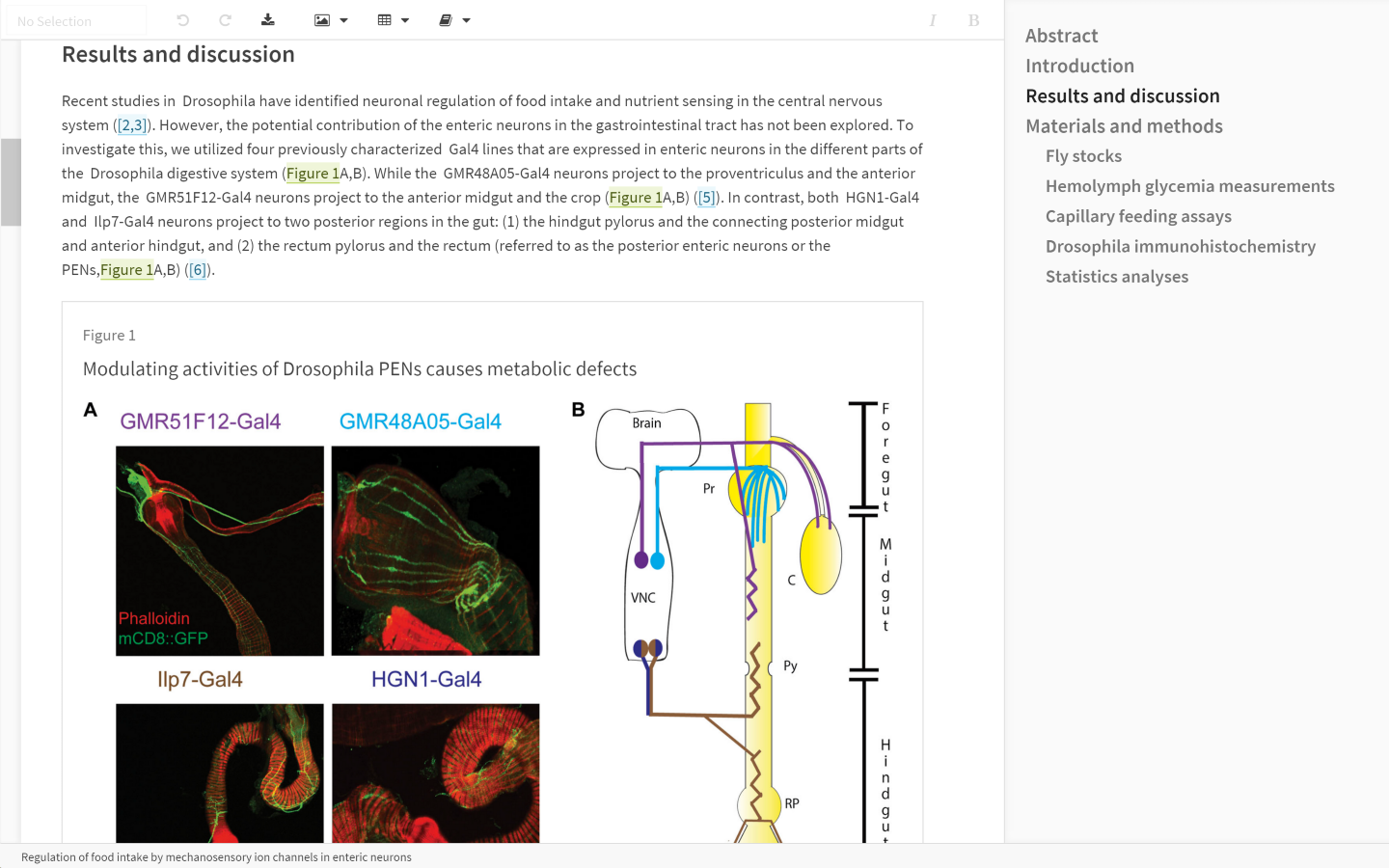 Lens Writer features a clean, simple interface for creating scientific content