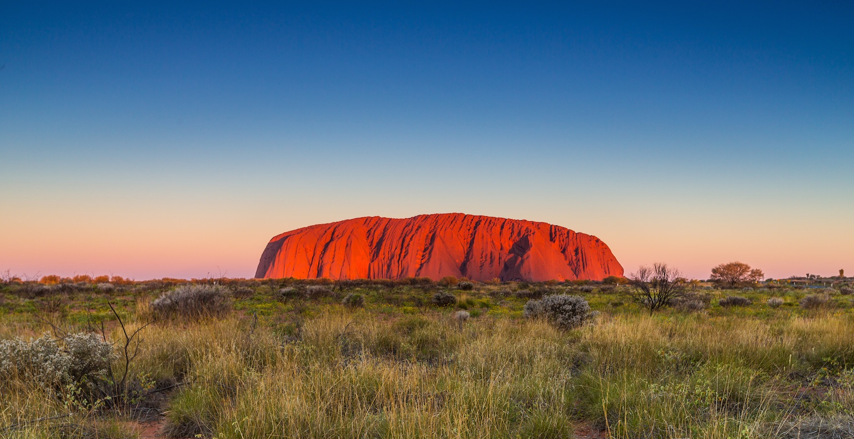 Silicon valley down under: The next class of fintech unicorns is bred in Australia & NZ