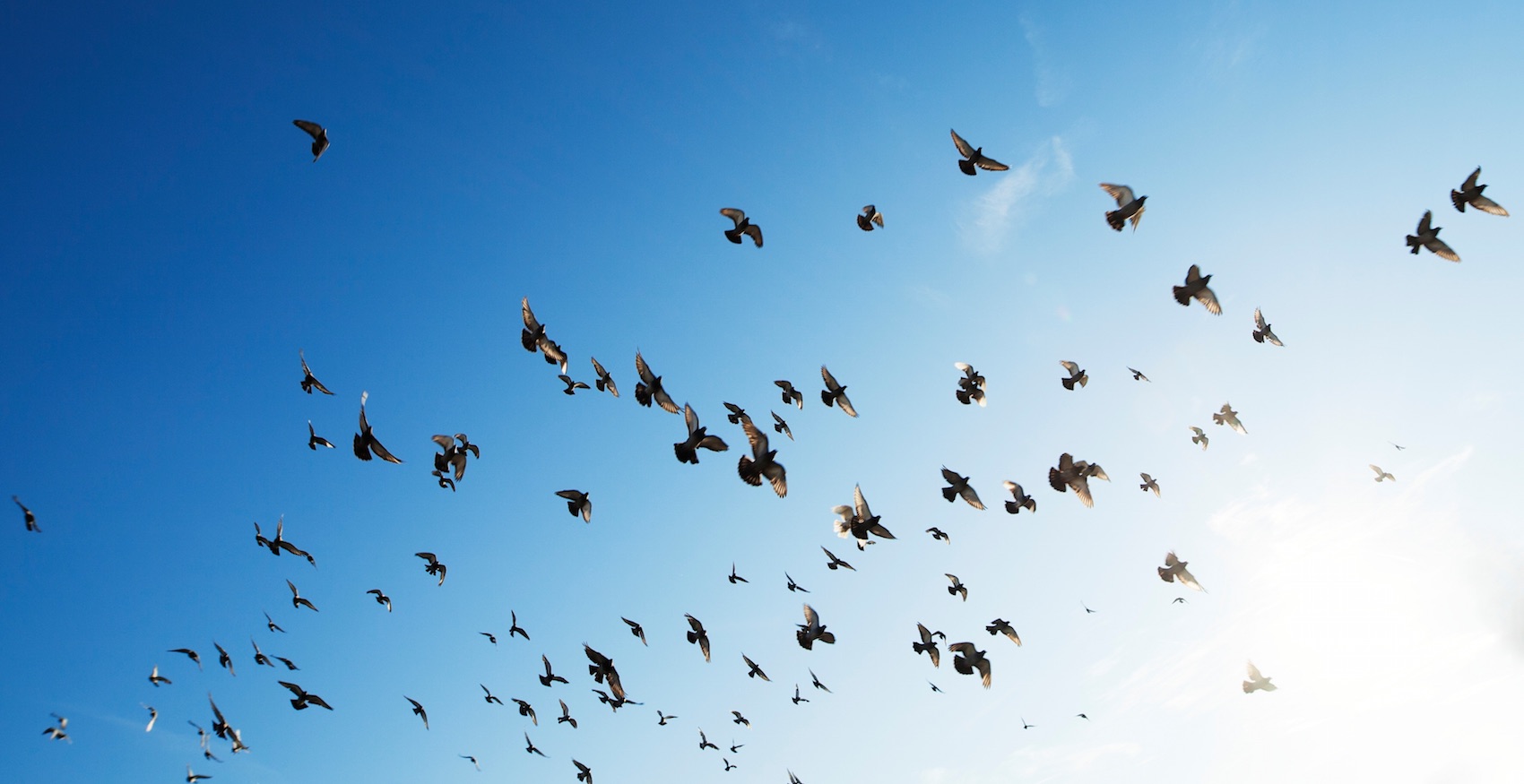 10 of the most effective growth hacks (from a pro) Featured Image