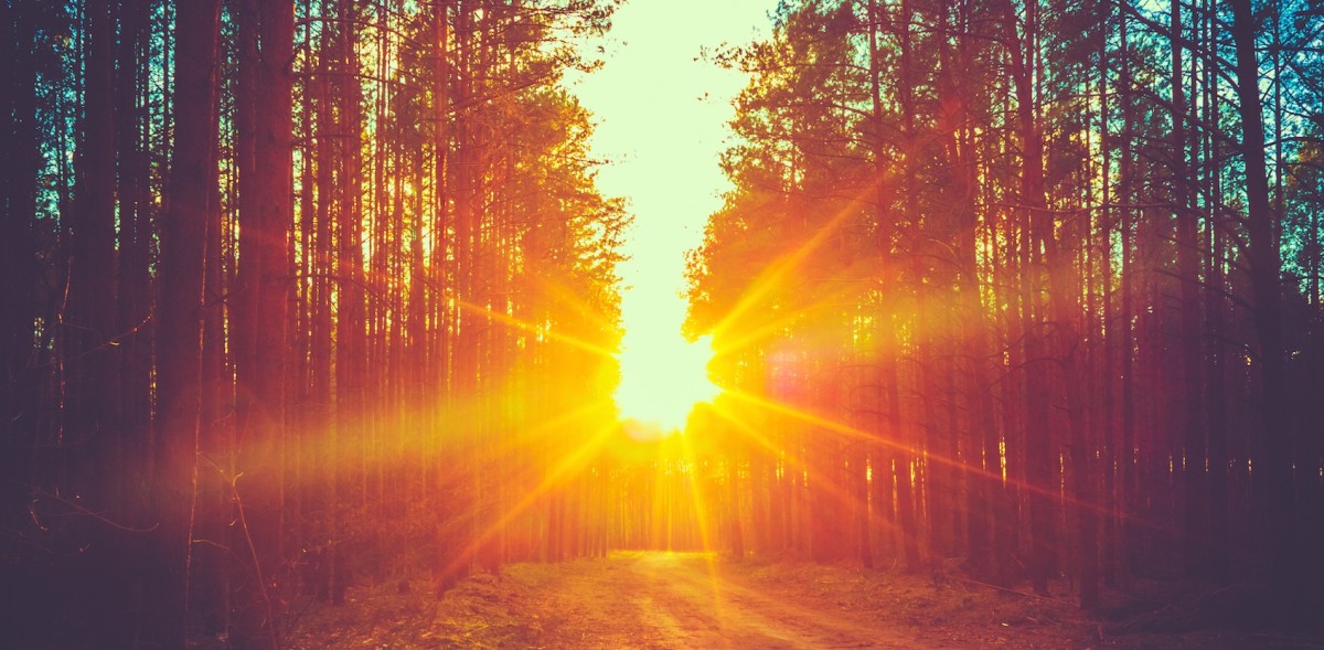 A complete guide to designing your morning routine to double your productivity