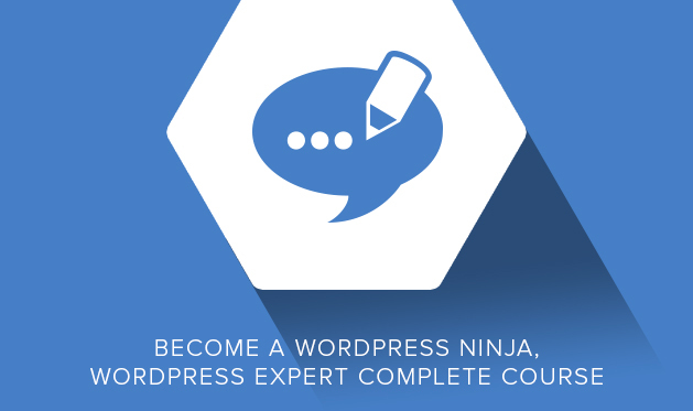 WordPress enhancement: Make your website shine with this themes and plugins bundle