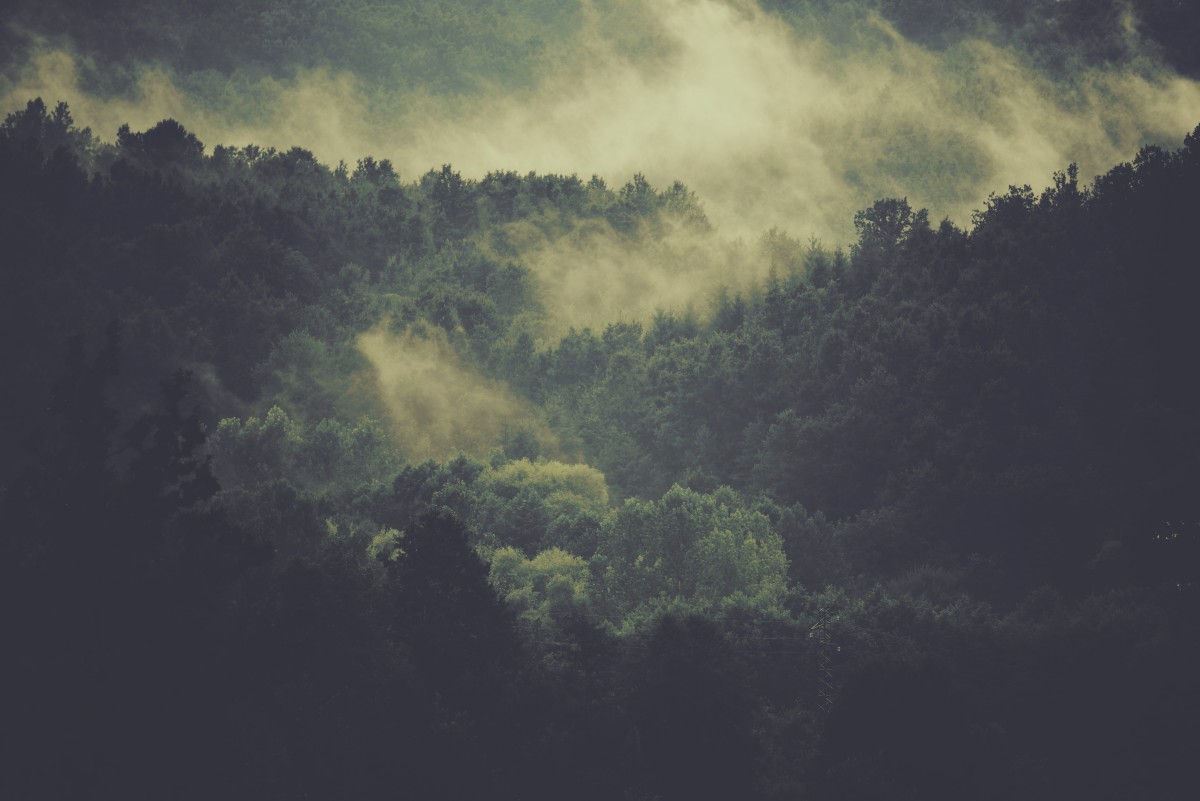 How practicing mindfulness can lead to better decision-making