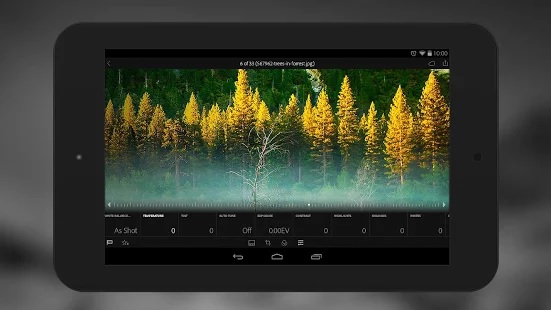 Lightroom Mobile offers a bevy of photo adjustment tools and lets you copy edits over to multiple photos