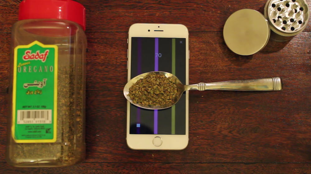 Redditor bypasses Apple guidelines, releases ‘Flappy Bird’ clone for weighing ‘oregano’ ...