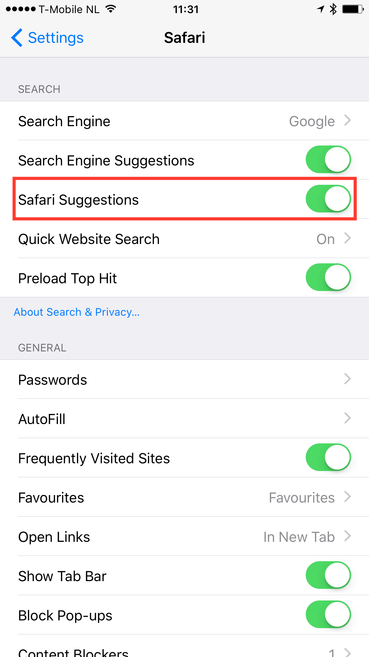 iphone safari won't search