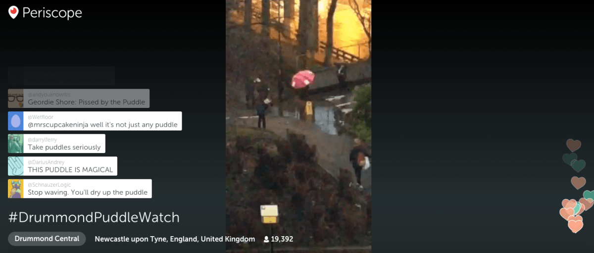 #DrummondPuddleWatch: 19,000 people in the UK watched a live stream of a puddle