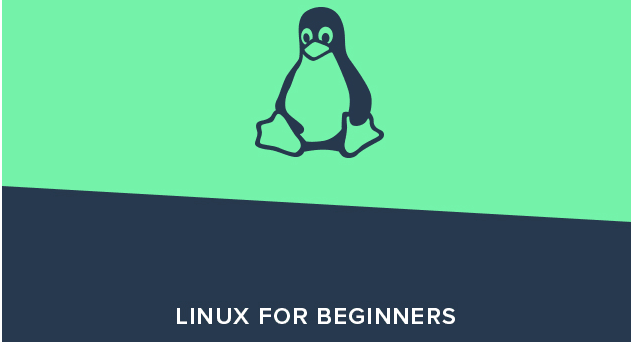 Pro Linux training is only $19 for a limited time