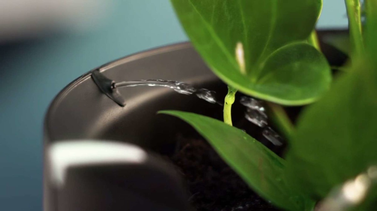 Why on earth is dronemaker Parrot unveiling a plant pot at CES?