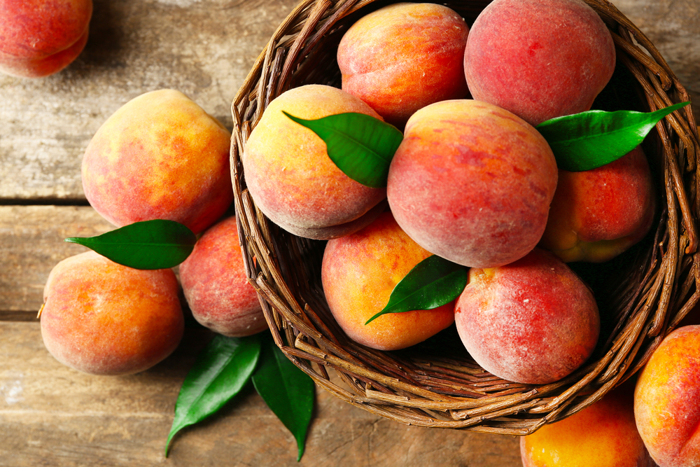 The complete beginner’s guide to Peach: What it is, how it works and how to build an audience