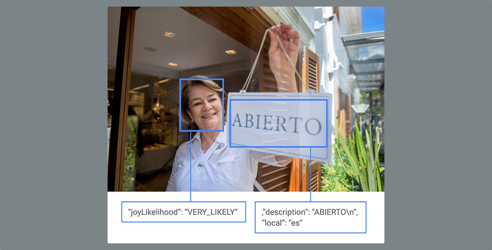 Google opens its Vision API in public beta to give any app the power of Google Photos