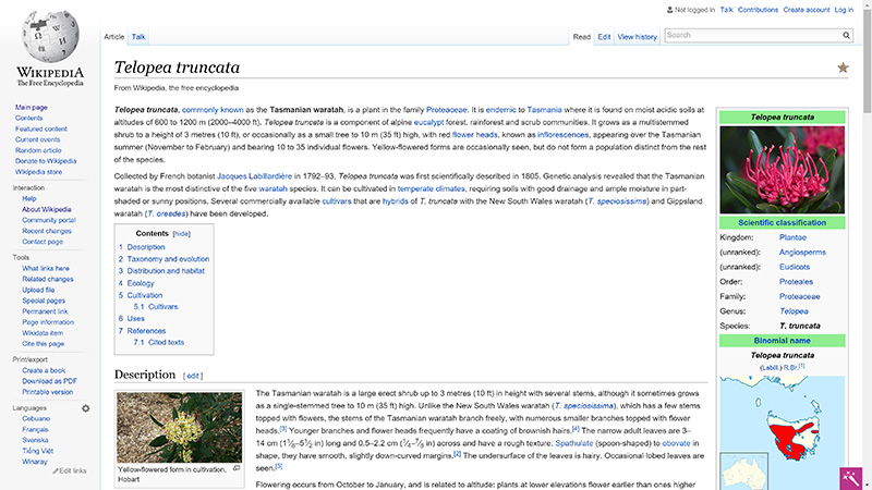 Wikipedia isn't ghastly, but it could be drastically improved