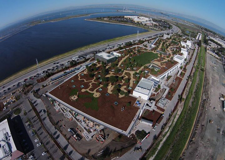 Facebook’s shiny new HQ will disappear thanks to global warming