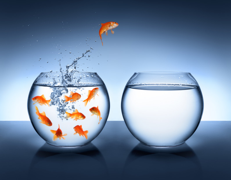 The benefits of being a little fish: How startups can beat big companies at the PR game