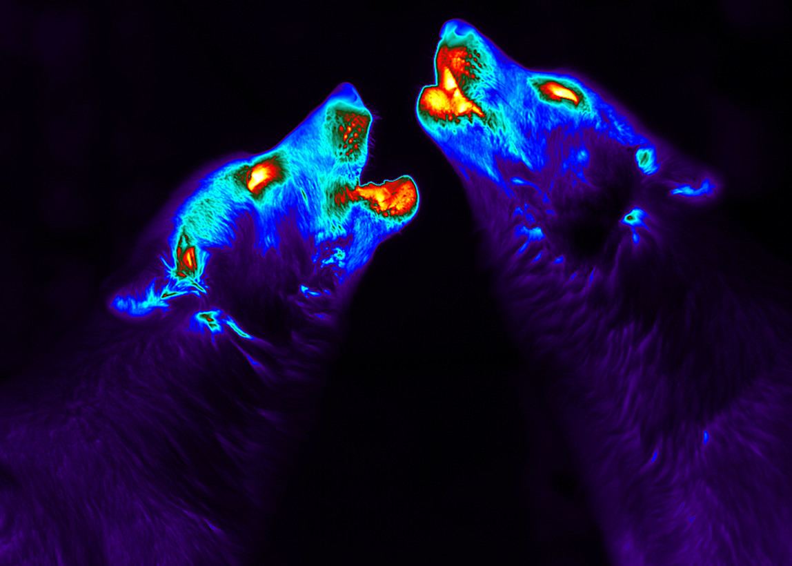 It’s coming! The Internet of Eyes will allow objects to see