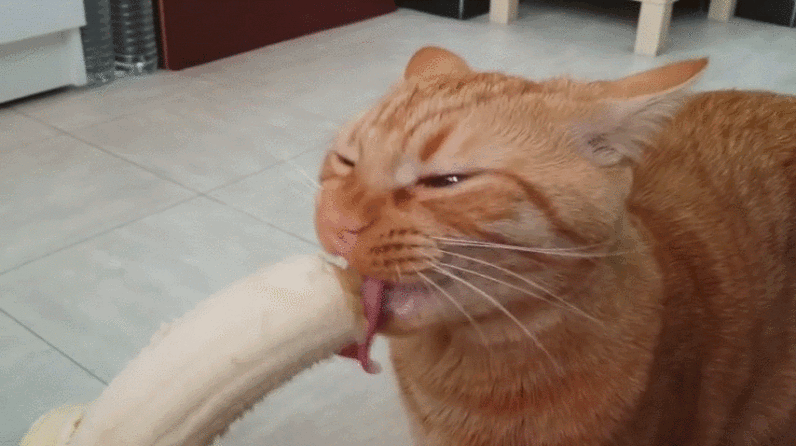 China bans livestreams of people ‘seductively’ eating bananas