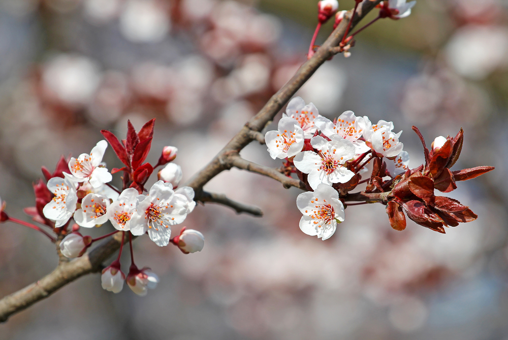 5 must-know tips for budding entrepreneurs